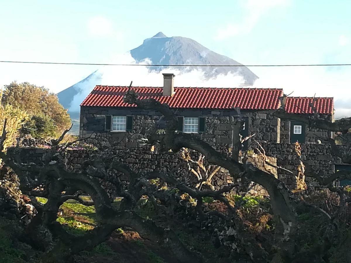 Villa A Casa Da Formosinha Madalena  Exterior foto